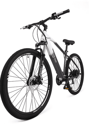 Bicicleta eléctrica MTB - Youin You-Ride Everest, Talla L, 250 W, 25 km/h, Shimano 21 vel., 29 ", Pantalla, Negro