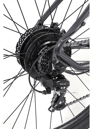 Bicicleta eléctrica MTB - Youin You-Ride Everest, Talla L, 250 W, 25 km/h, Shimano 21 vel., 29 ", Pantalla, Negro